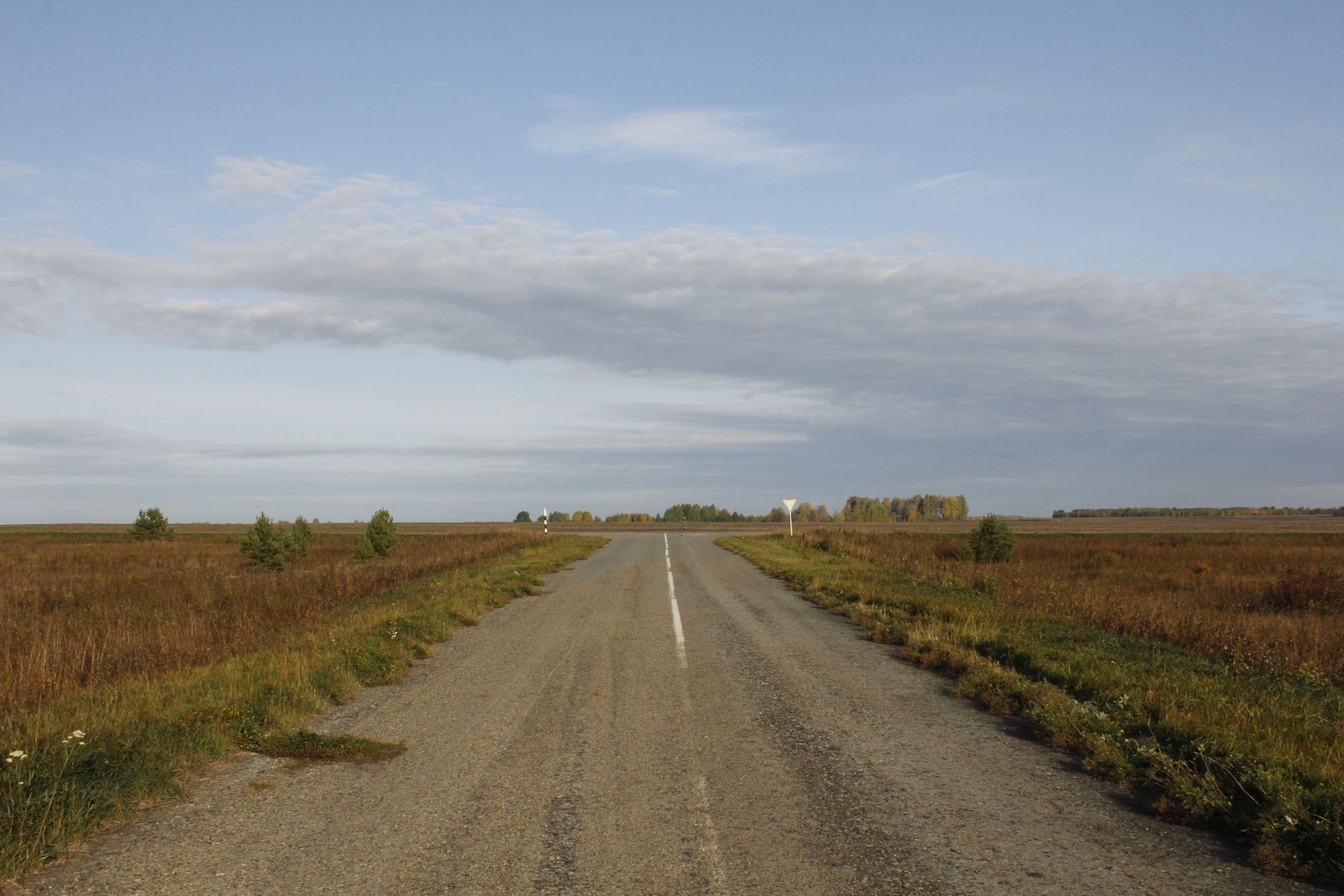Sanilac County Landscape