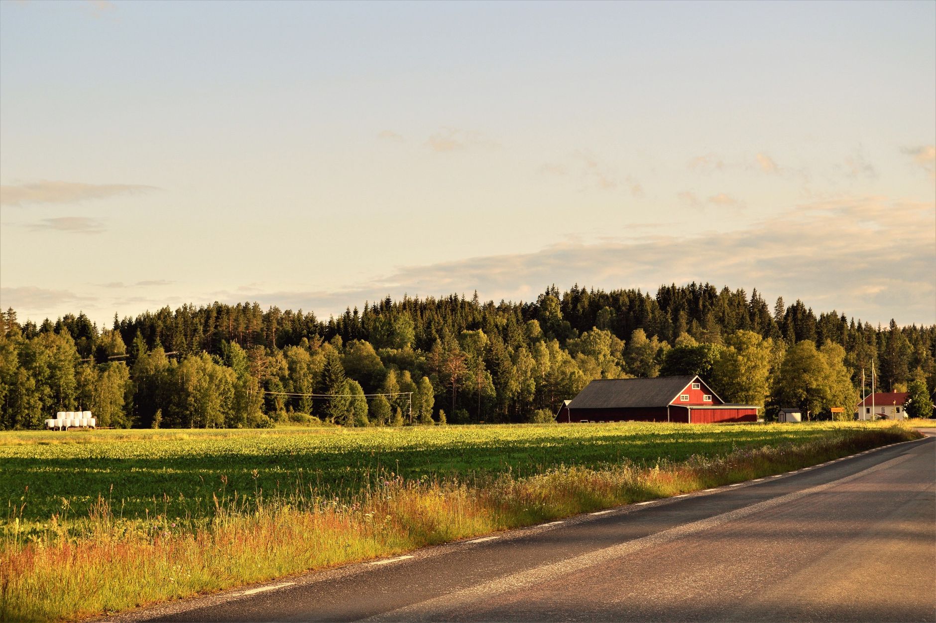 Tuscola County Landscape