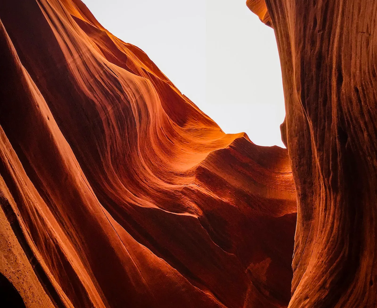The smooth, flowing orange rock walls of a narrow slot canyon opening to a bright sky.